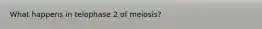 What happens in telophase 2 of meiosis?