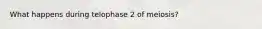 What happens during telophase 2 of meiosis?