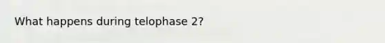 What happens during telophase 2?