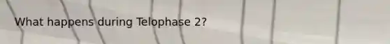 What happens during Telophase 2?