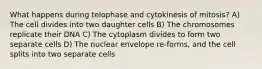 What happens during telophase and cytokinesis of mitosis? A) The cell divides into two daughter cells B) The chromosomes replicate their DNA C) The cytoplasm divides to form two separate cells D) The nuclear envelope re-forms, and the cell splits into two separate cells