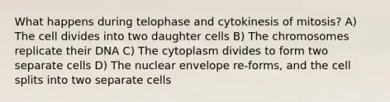 What happens during telophase and cytokinesis of mitosis? A) The cell divides into two daughter cells B) The chromosomes replicate their DNA C) The cytoplasm divides to form two separate cells D) The nuclear envelope re-forms, and the cell splits into two separate cells