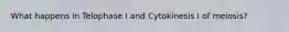 What happens in Telophase I and Cytokinesis I of meiosis?