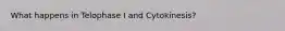 What happens in Telophase I and Cytokinesis?