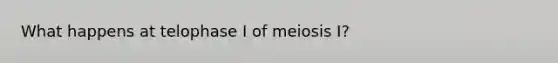 What happens at telophase I of meiosis I?