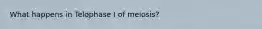 What happens in Telophase I of meiosis?