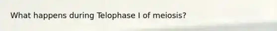 What happens during Telophase I of meiosis?