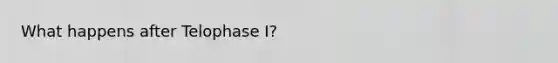 What happens after Telophase I?