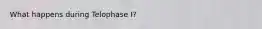 What happens during Telophase I?