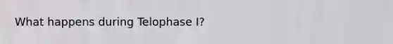 What happens during Telophase I?