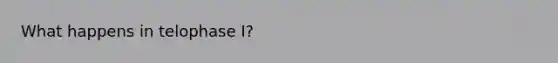 What happens in telophase I?