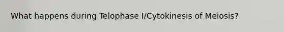 What happens during Telophase I/Cytokinesis of Meiosis?