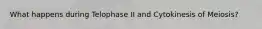 What happens during Telophase II and Cytokinesis of Meiosis?