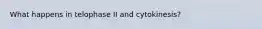 What happens in telophase II and cytokinesis?