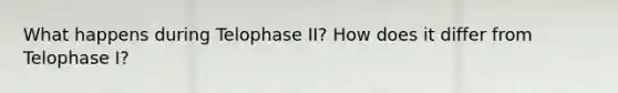 What happens during Telophase II? How does it differ from Telophase I?