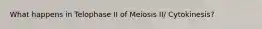 What happens in Telophase II of Meiosis II/ Cytokinesis?