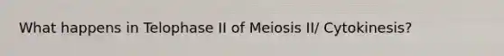 What happens in Telophase II of Meiosis II/ Cytokinesis?