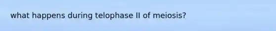 what happens during telophase II of meiosis?