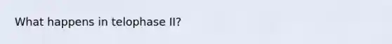 What happens in telophase II?