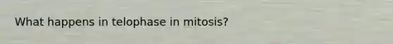 What happens in telophase in mitosis?