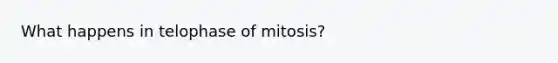 What happens in telophase of mitosis?