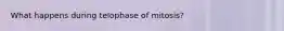 What happens during telophase of mitosis?