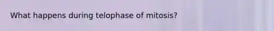 What happens during telophase of mitosis?