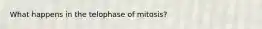 What happens in the telophase of mitosis?