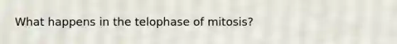 What happens in the telophase of mitosis?