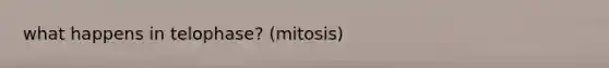 what happens in telophase? (mitosis)