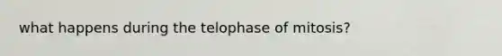 what happens during the telophase of mitosis?