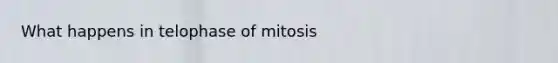 What happens in telophase of mitosis