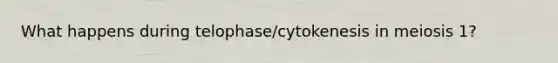 What happens during telophase/cytokenesis in meiosis 1?