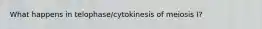 What happens in telophase/cytokinesis of meiosis I?