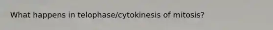 What happens in telophase/cytokinesis of mitosis?