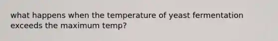 what happens when the temperature of yeast fermentation exceeds the maximum temp?