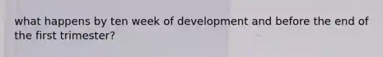 what happens by ten week of development and before the end of the first trimester?