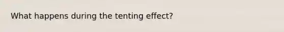 What happens during the tenting effect?