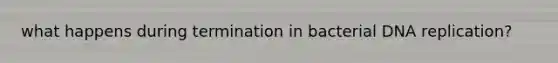 what happens during termination in bacterial DNA replication?