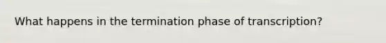 What happens in the termination phase of transcription?