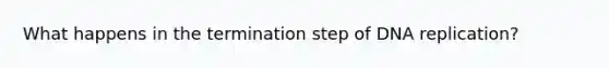 What happens in the termination step of DNA replication?