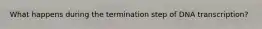 What happens during the termination step of DNA transcription?