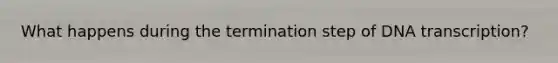 What happens during the termination step of DNA transcription?