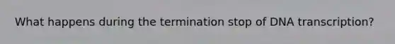 What happens during the termination stop of DNA transcription?