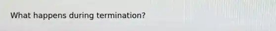 What happens during termination?