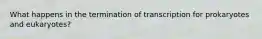 What happens in the termination of transcription for prokaryotes and eukaryotes?