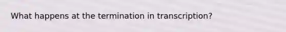 What happens at the termination in transcription?