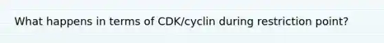 What happens in terms of CDK/cyclin during restriction point?