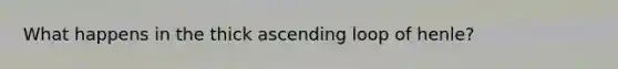 What happens in the thick ascending loop of henle?