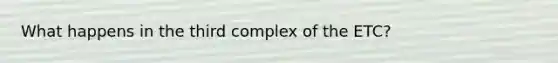 What happens in the third complex of the ETC?